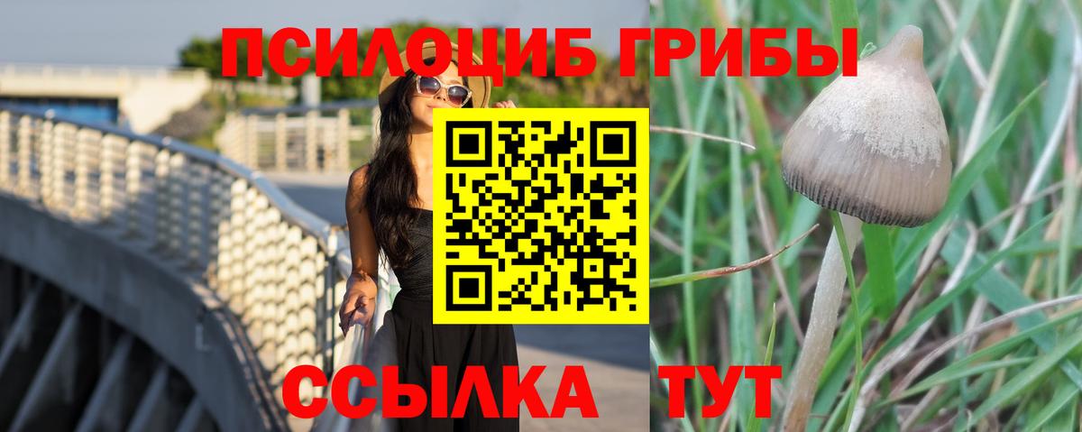 Псилоцибиновые грибы MAGIC MUSHROOMS  Галлюциногенные грибы Psilocybine cubensis  Вход с VPN  Азнакаево 